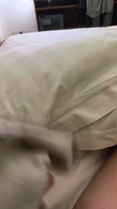 Bigotitos22's Profile