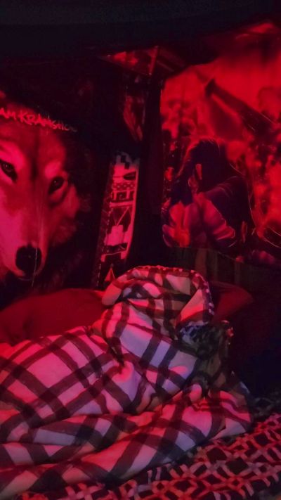 Bonnerteen's Profile