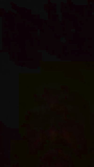 Camilomxxx98's Profile