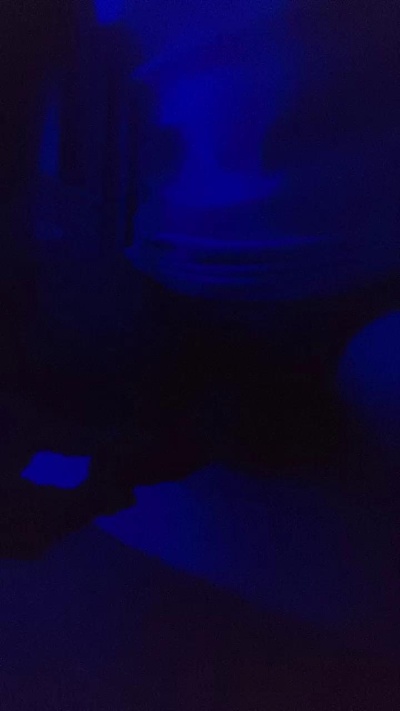DKsydmls05's Profile