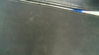 Danskbibamse's Profile