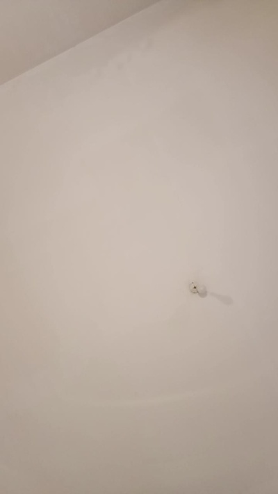Djeny's Profile