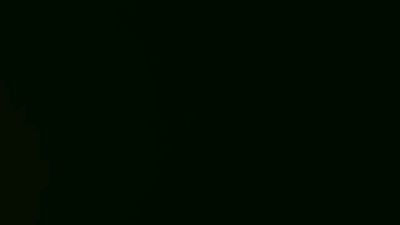 DutchWolf's Profile