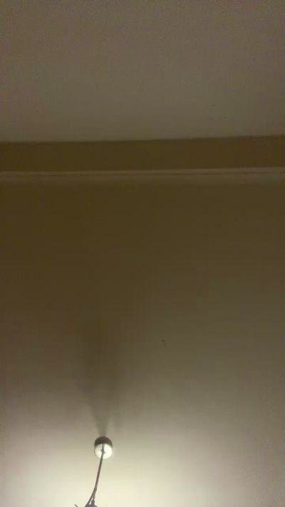 Janitorasta30's Profile