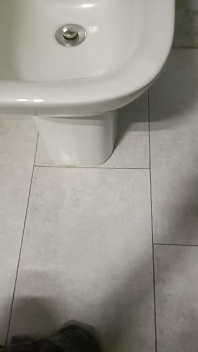 Labubu19's Profile