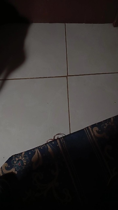 Malaclase33's Profile