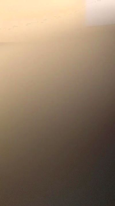Porcello2023's Profile