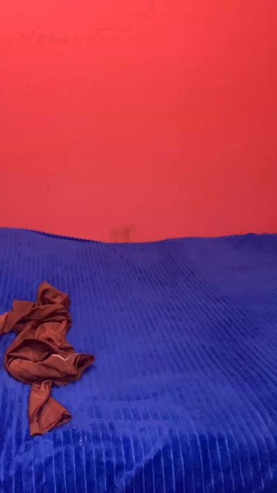 SHEIAILINXX's Profile