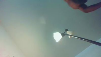 bidealsr's Profile