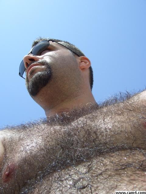 cedric_bear Profile Image