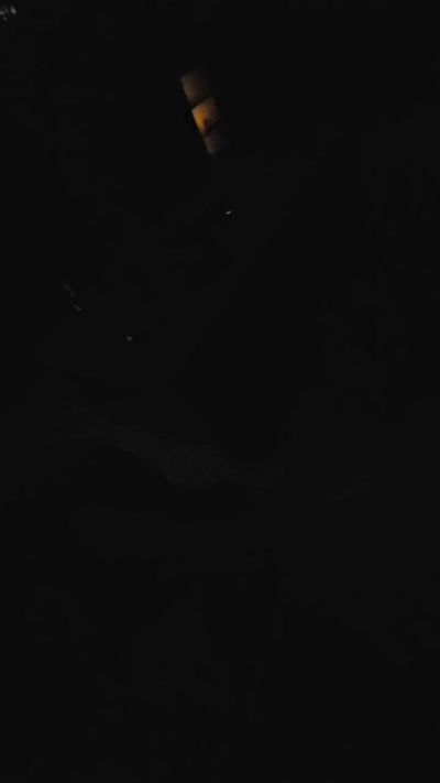 geilbeertje_xxx's Profile