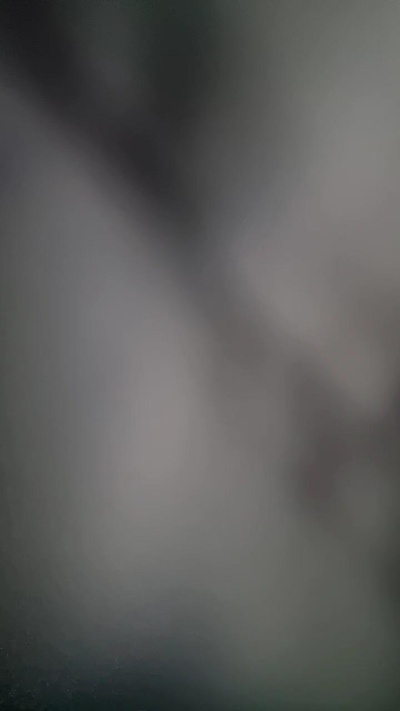 guscdate's Profile