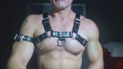 horny__pig's Profile