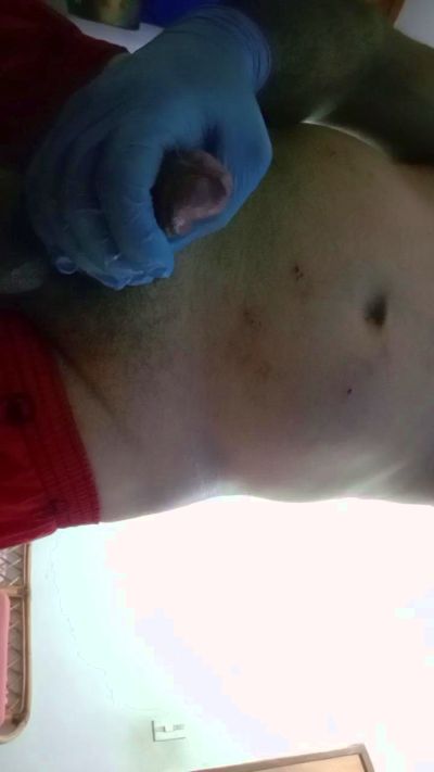 latinocaliente4's Profile