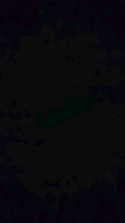 leticianunys1's Profile
