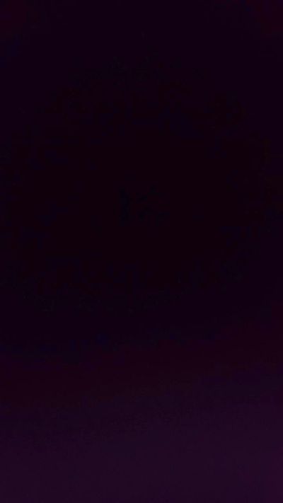 pingasex33's Profile