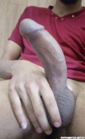 sergiosanto3's Profile