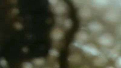 sweetsx24's Profile
