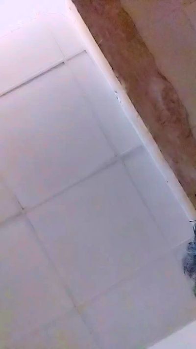 victor034's Profile
