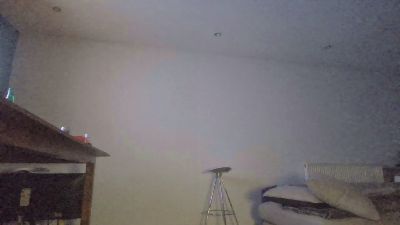 wildrockets's Profile